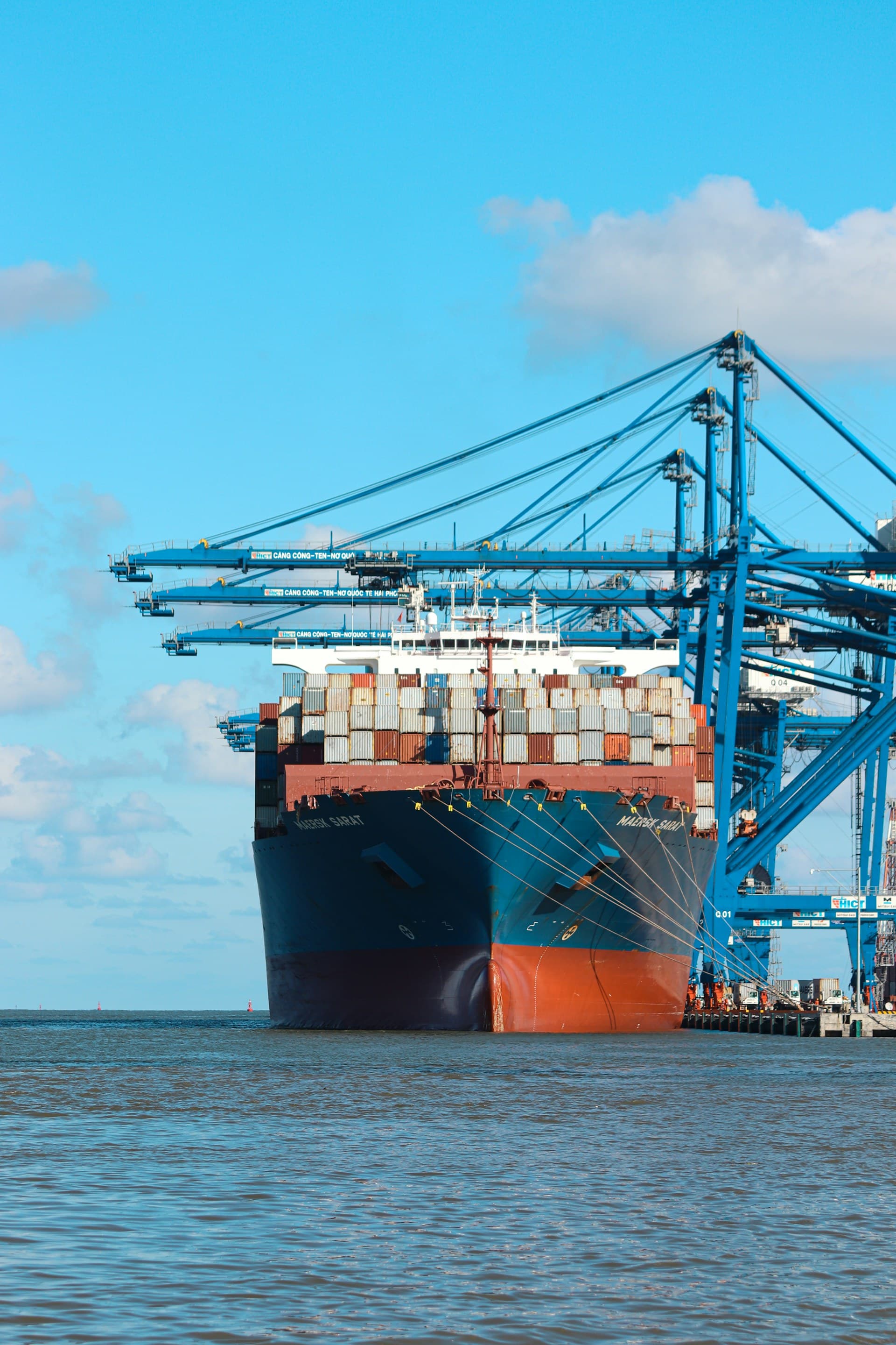 Packed cartons staged for export dispatch