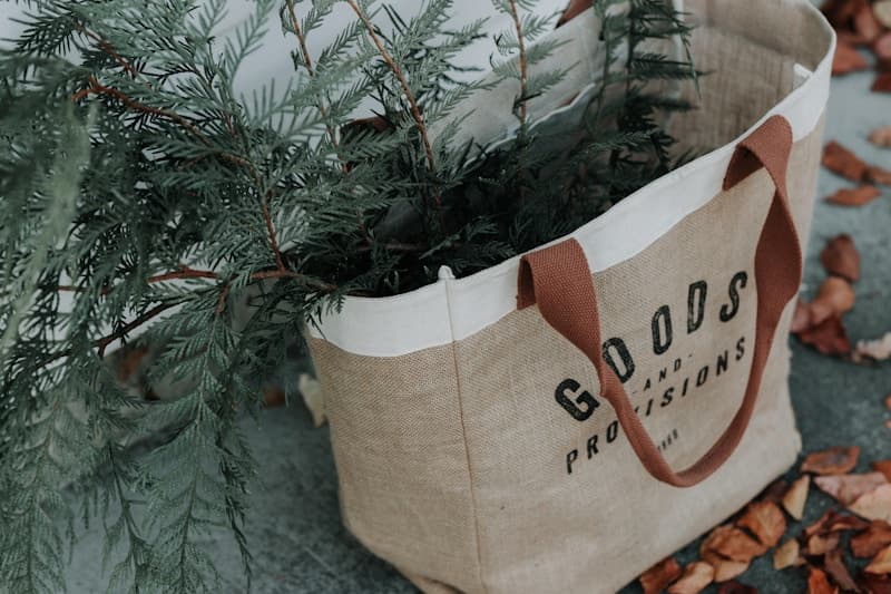 Jute Bag — Rishabh Bags