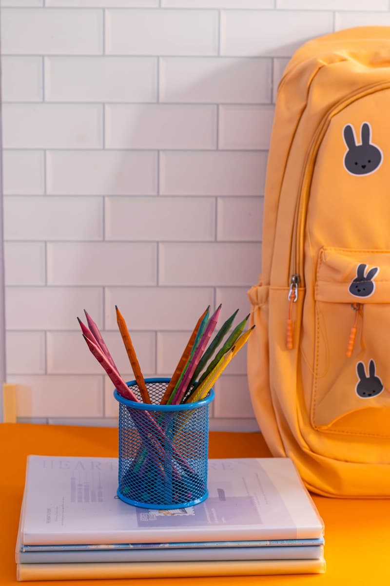 School Bag — Rishabh Bags